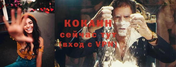 индика Беломорск