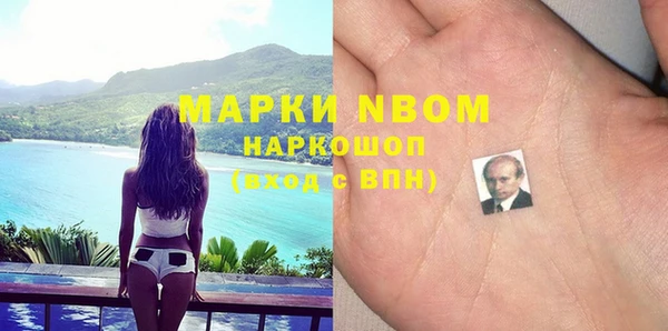 стаф Белокуриха