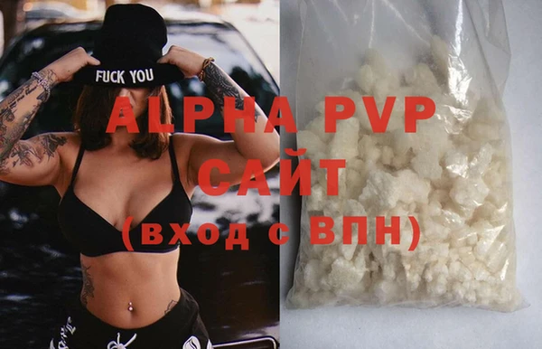 стаф Белокуриха