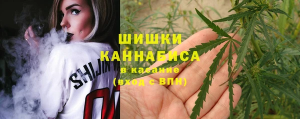 индика Беломорск