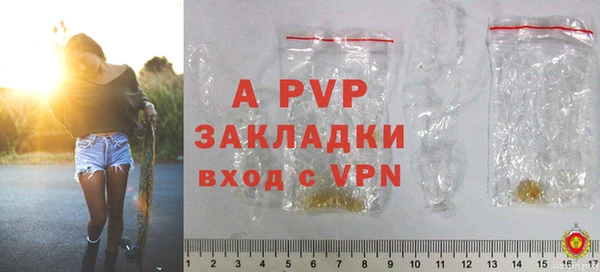 индика Беломорск