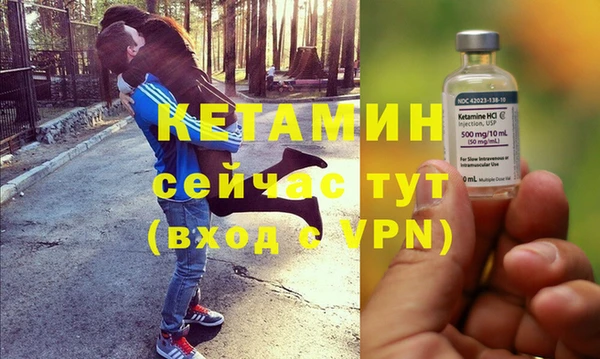 индика Беломорск