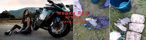индика Беломорск